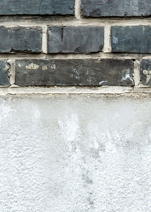 Top Floor | Rebel Walls