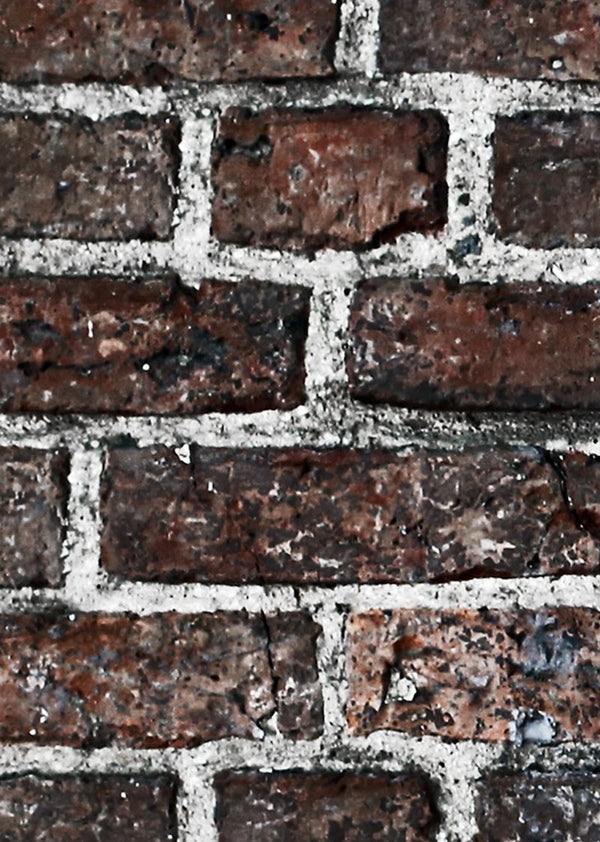 Newport | Rebel Walls
