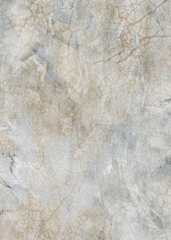 Fossil Stone | Rebel Walls