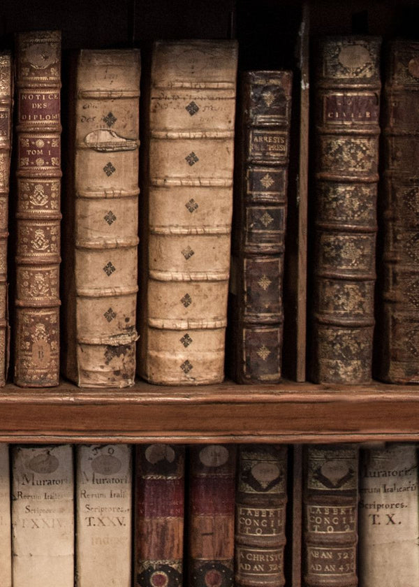 Antique Books | Rebel Walls
