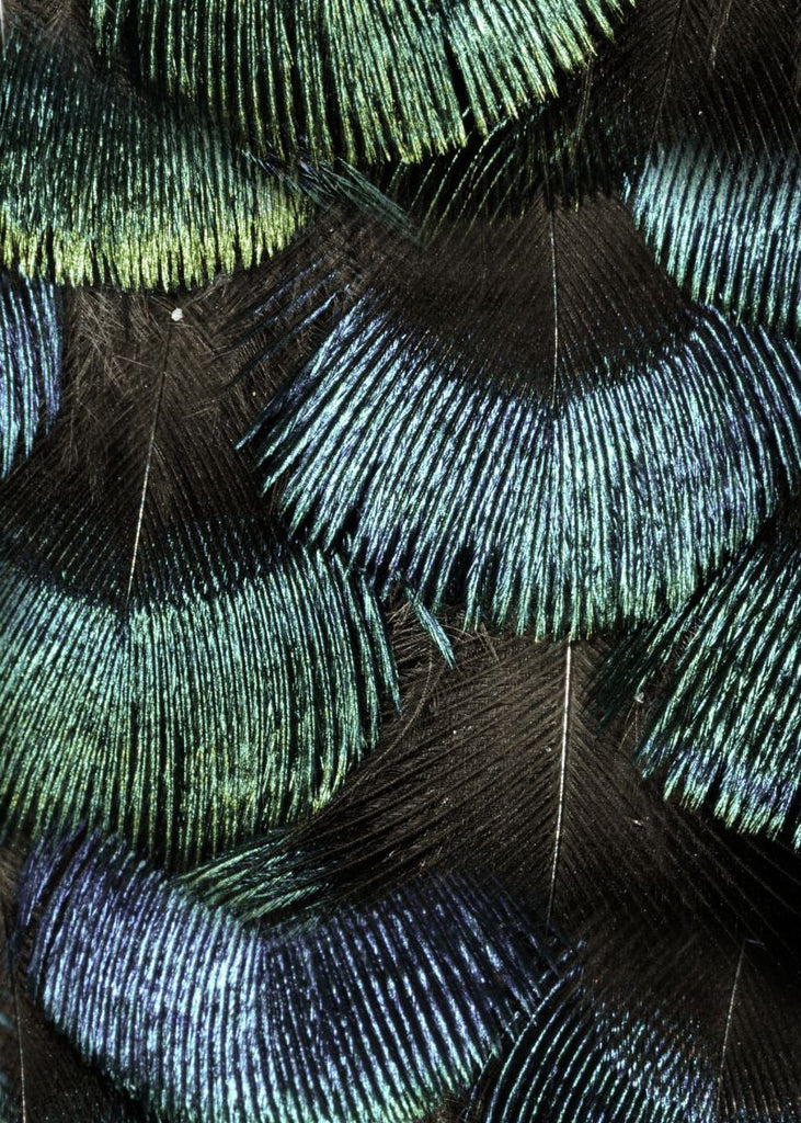 Exclusively at Designer Wallcoverings and Fabrics