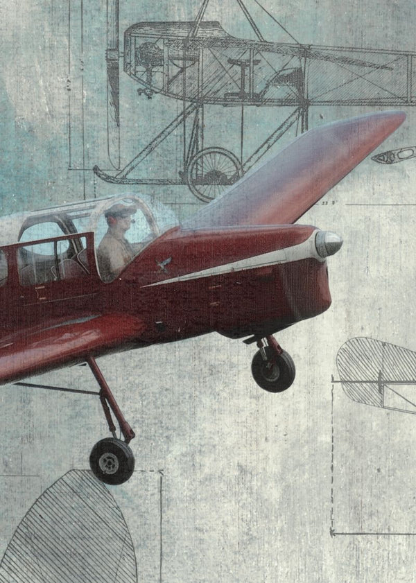 Aero Show | Rebel Walls