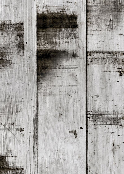 Metal Birch | Rebel Walls