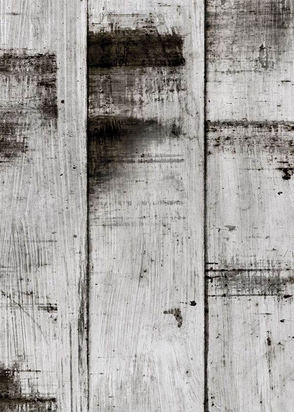 Metal Birch | Rebel Walls