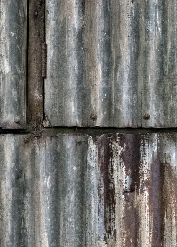 Backyard | Rebel Walls