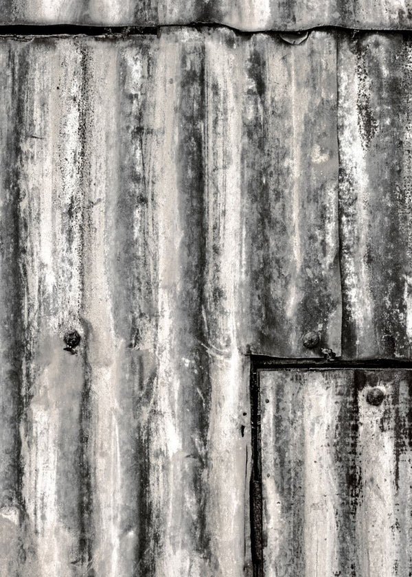 Backyard, Raw | Rebel Walls