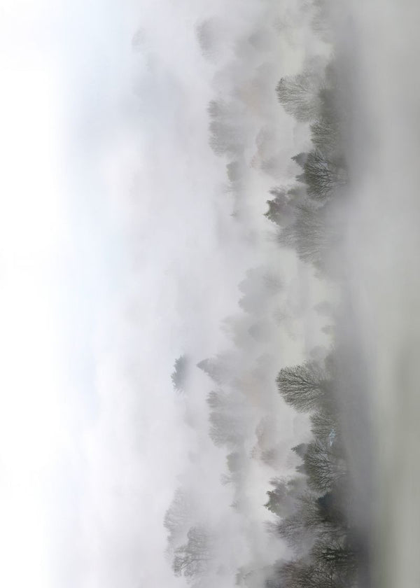 Morning Fog | Rebel Walls