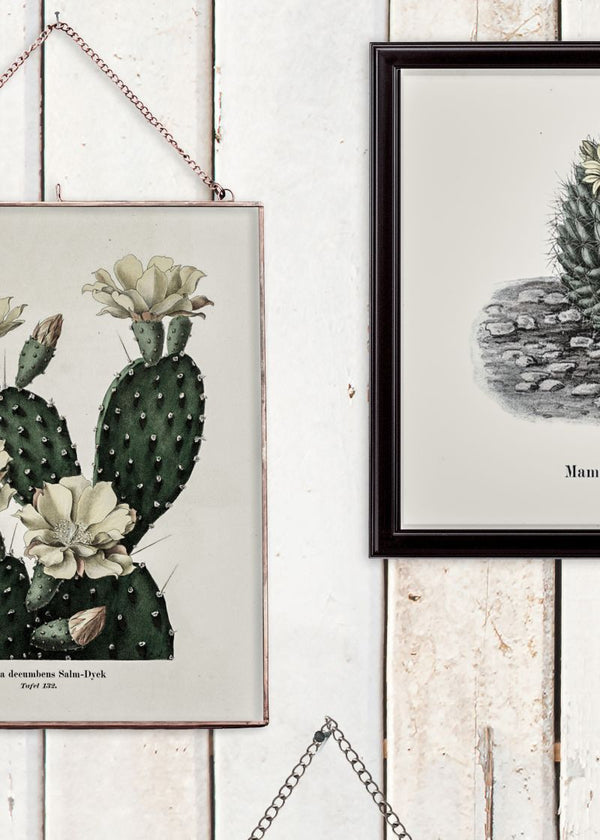 Cactus Wall Art, Faded | Rebel Walls