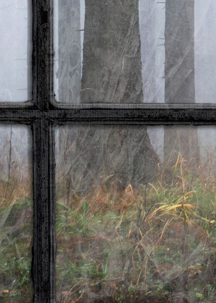 Exclusively at Designer Wallcoverings and Fabrics