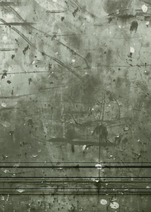 Patinated Panels, Moss | Rebel Walls