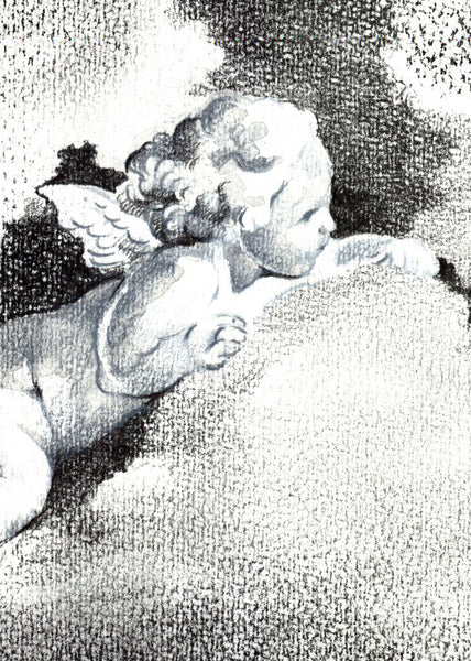 Exclusively at Designer Wallcoverings and Fabrics