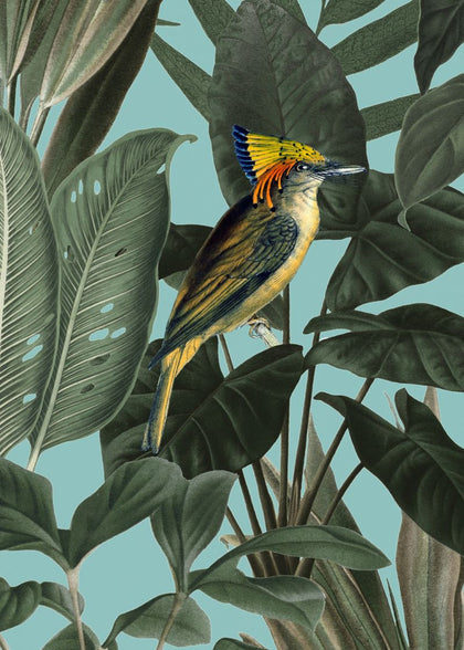 Yellow Bird | Rebel Walls