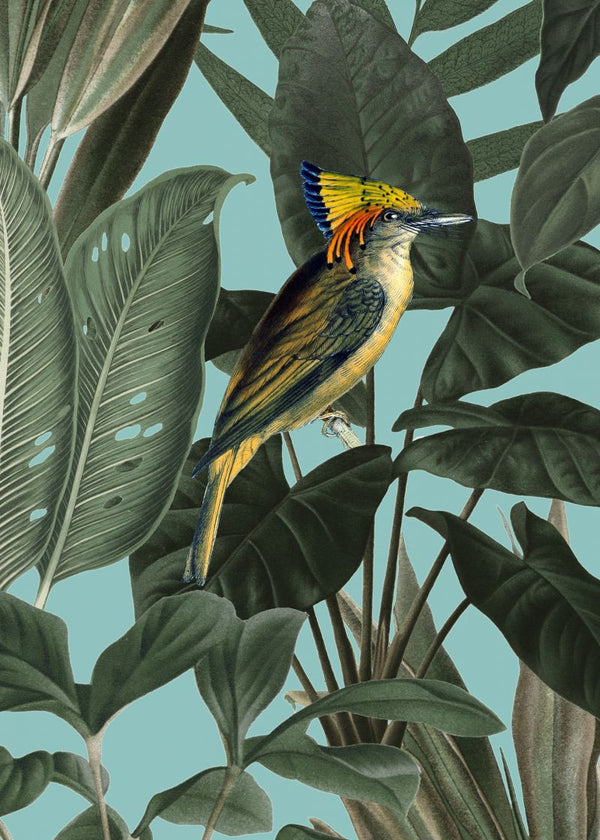 Yellow Bird | Rebel Walls