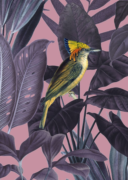 Exclusively at Designer Wallcoverings and Fabrics