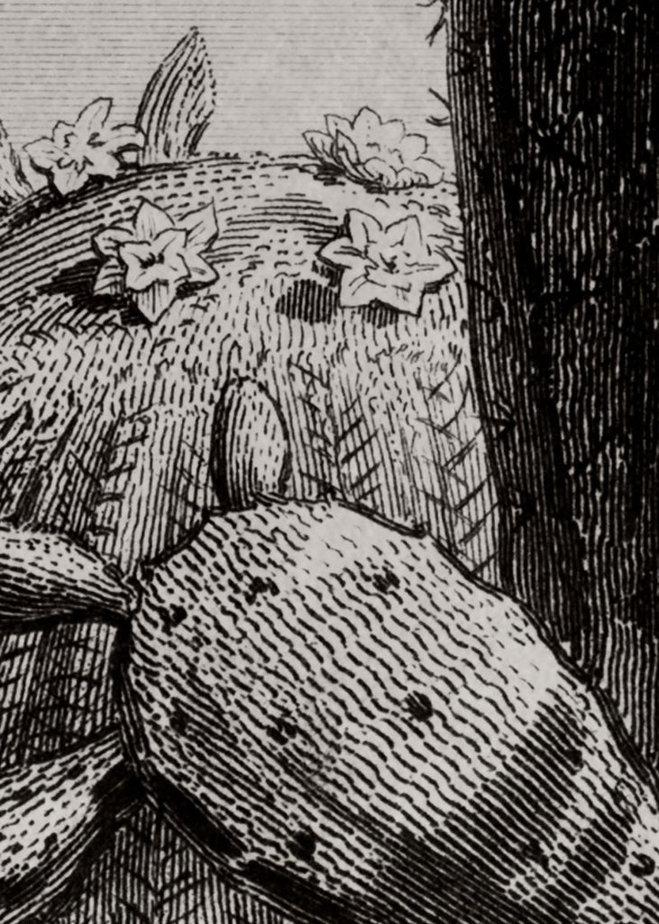 Exclusively at Designer Wallcoverings and Fabrics