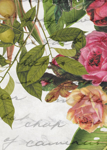 Exclusively at Designer Wallcoverings and Fabrics