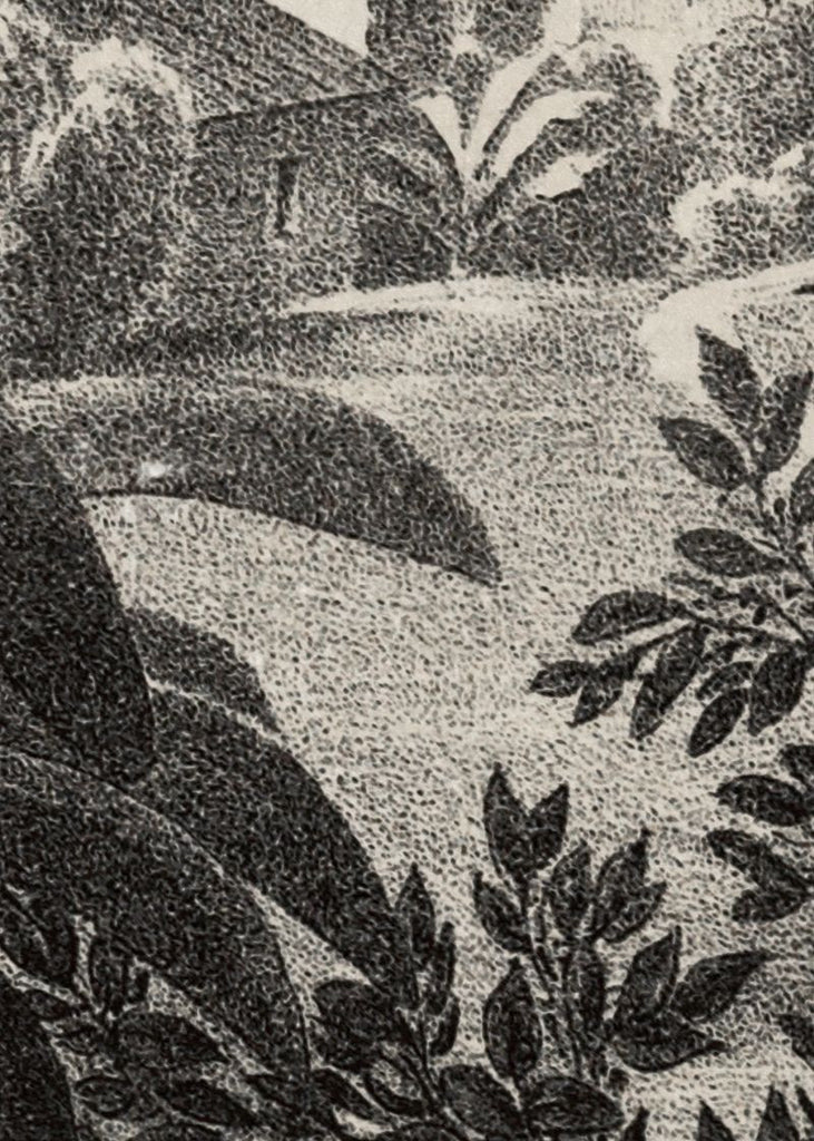 Exclusively at Designer Wallcoverings and Fabrics