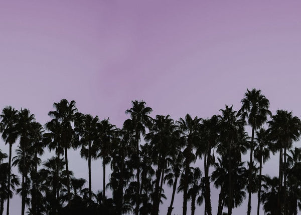 Riviera Daydream, Dusk | Rebel Walls