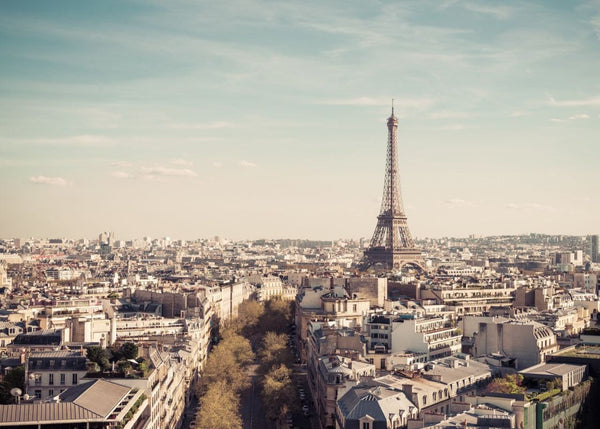 Exclusively at Designer Wallcoverings and Fabrics