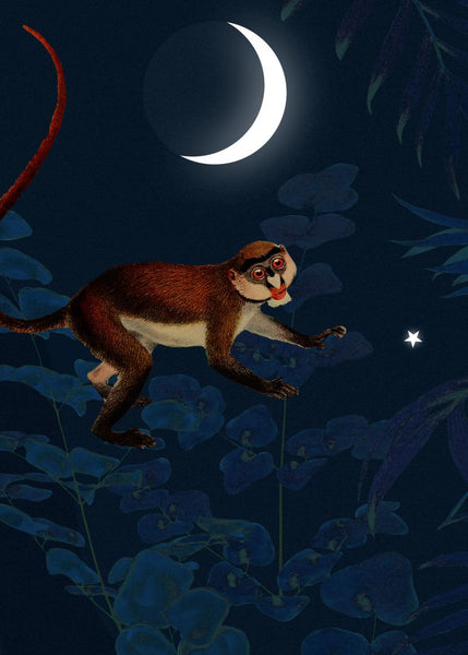 Exclusively at Designer Wallcoverings and Fabrics