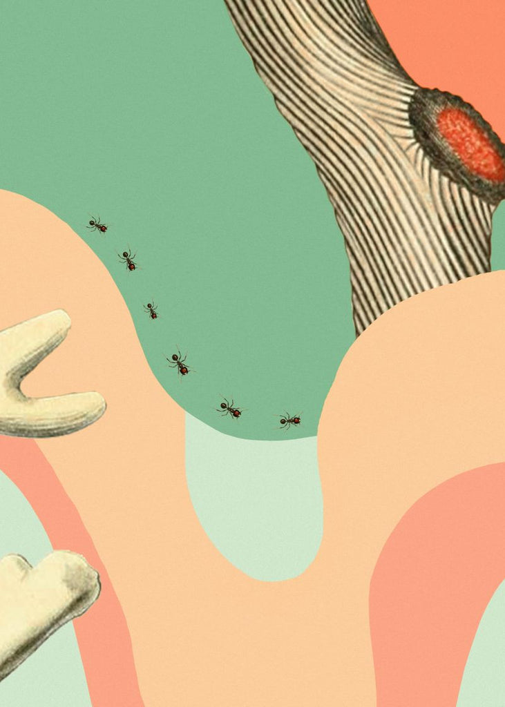 Exclusively at Designer Wallcoverings and Fabrics