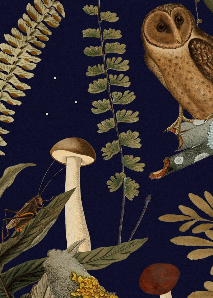 Exclusively at Designer Wallcoverings and Fabrics