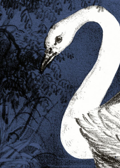 Swan Lake, Nightfall | Rebel Walls