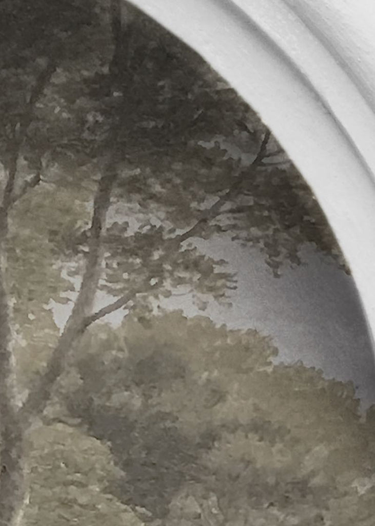 Exclusively at Designer Wallcoverings and Fabrics