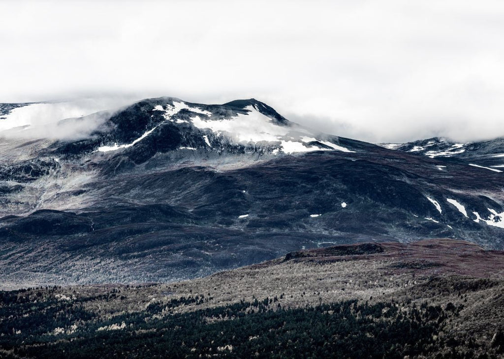 Exclusively at Designer Wallcoverings and Fabrics