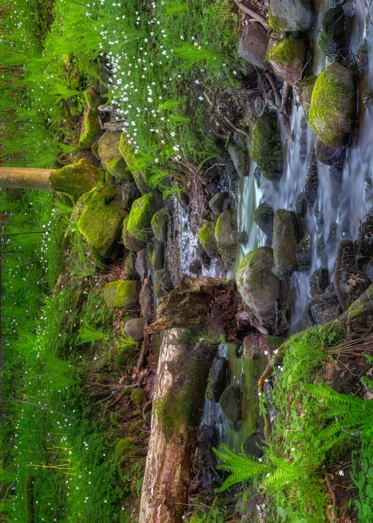 Exclusively at Designer Wallcoverings and Fabrics