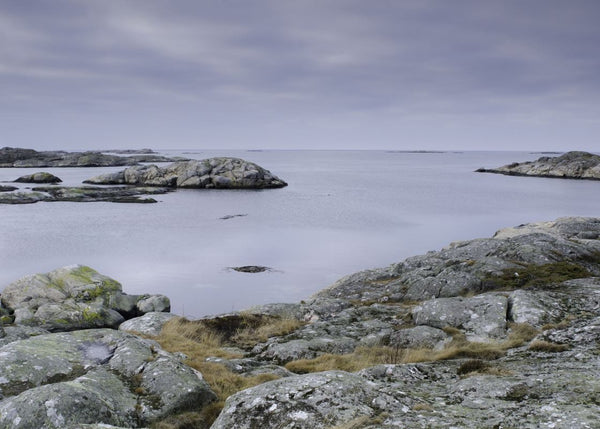 Soft Rocks | Rebel Walls