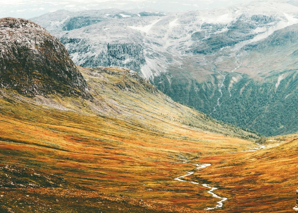 Exclusively at Designer Wallcoverings and Fabrics