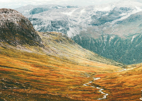 Exclusively at Designer Wallcoverings and Fabrics