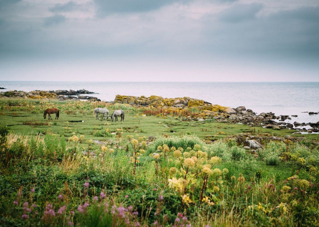 Exclusively at Designer Wallcoverings and Fabrics