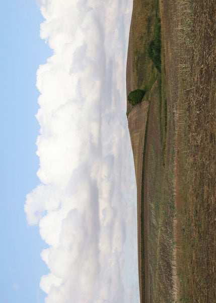 Exclusively at Designer Wallcoverings and Fabrics