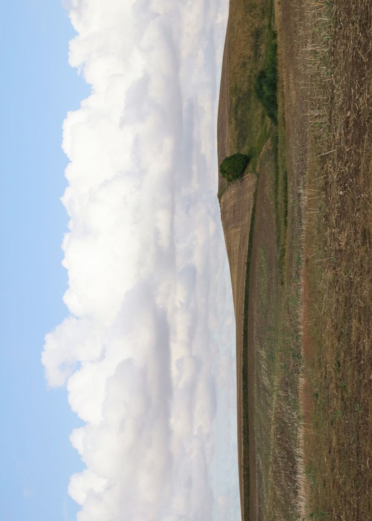 Exclusively at Designer Wallcoverings and Fabrics