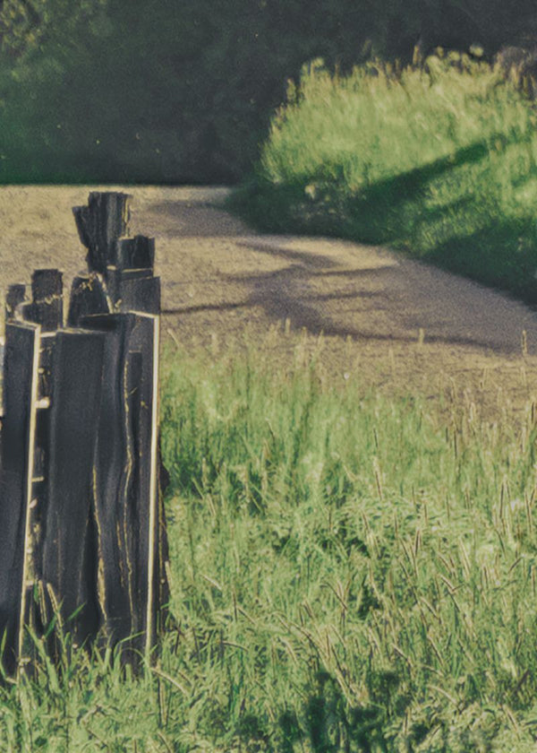 Wooden Fence | Rebel Walls