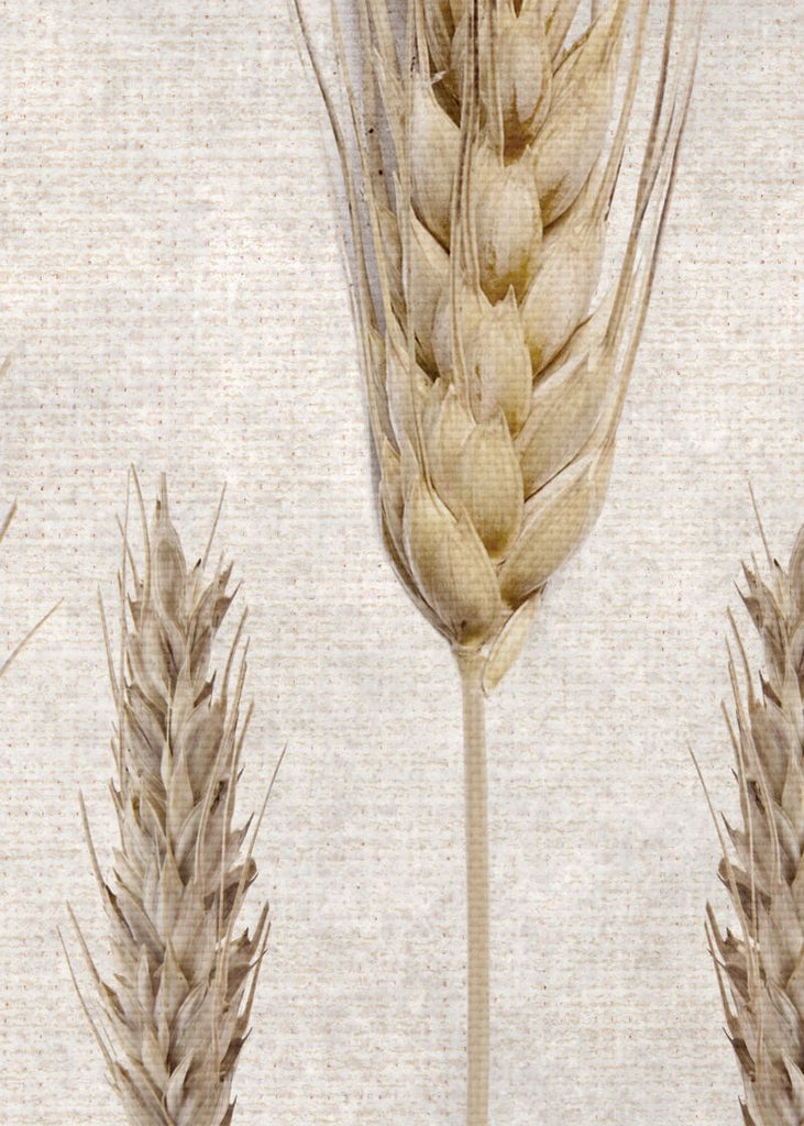 Exclusively at Designer Wallcoverings and Fabrics