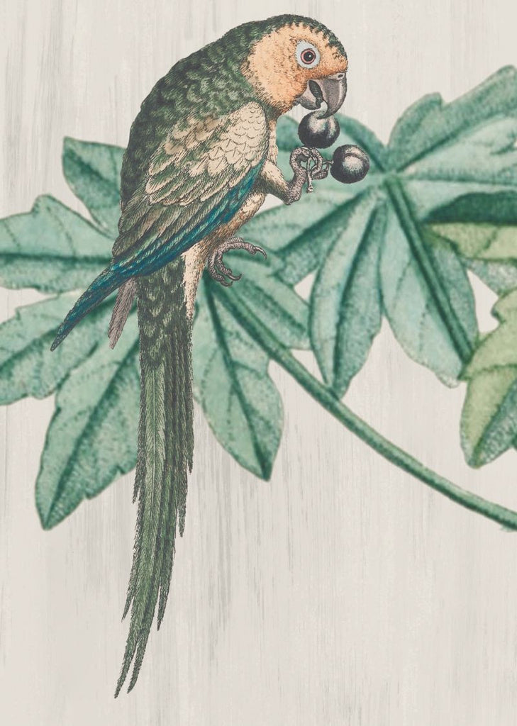 Exclusively at Designer Wallcoverings and Fabrics