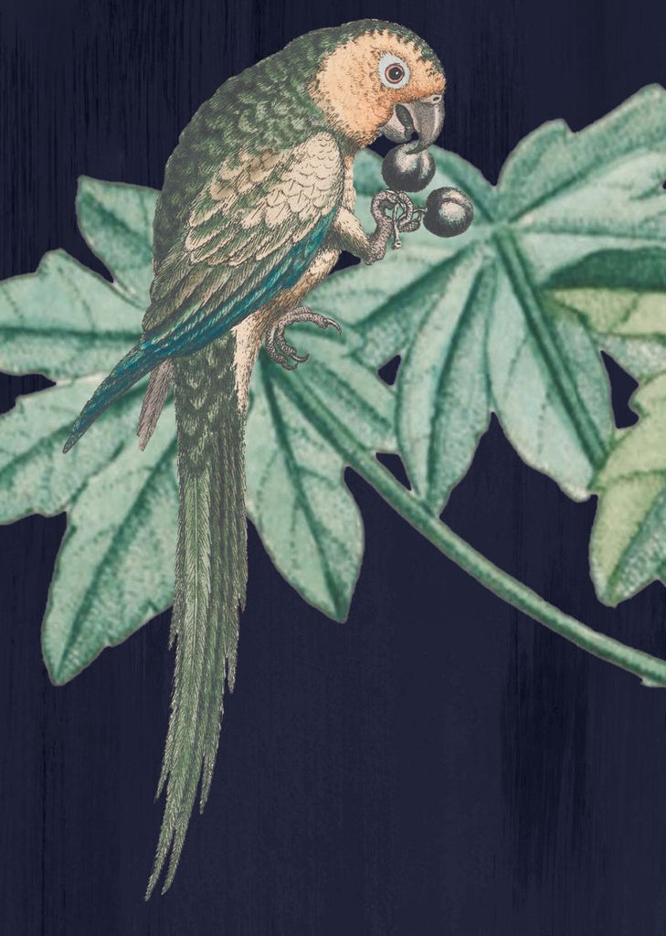 Exclusively at Designer Wallcoverings and Fabrics