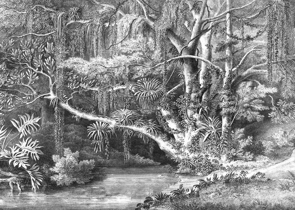 Exclusively at Designer Wallcoverings and Fabrics