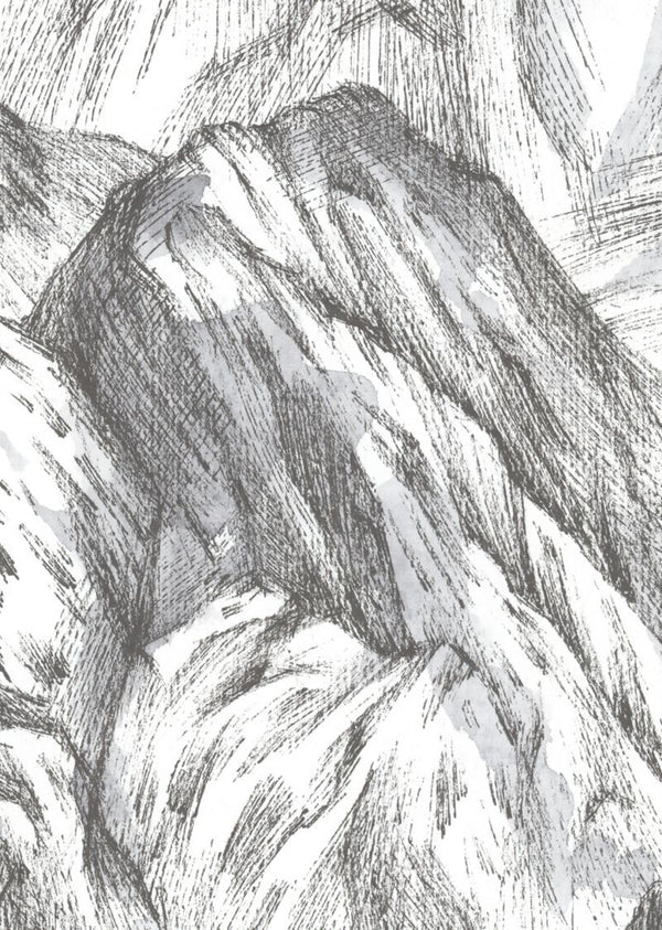 Moon Rock, Surface | Rebel Walls