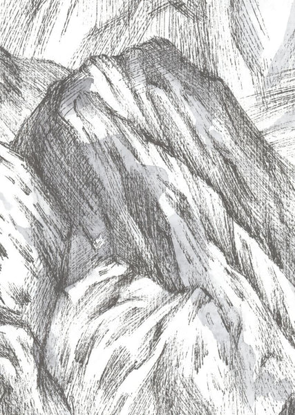 Exclusively at Designer Wallcoverings and Fabrics