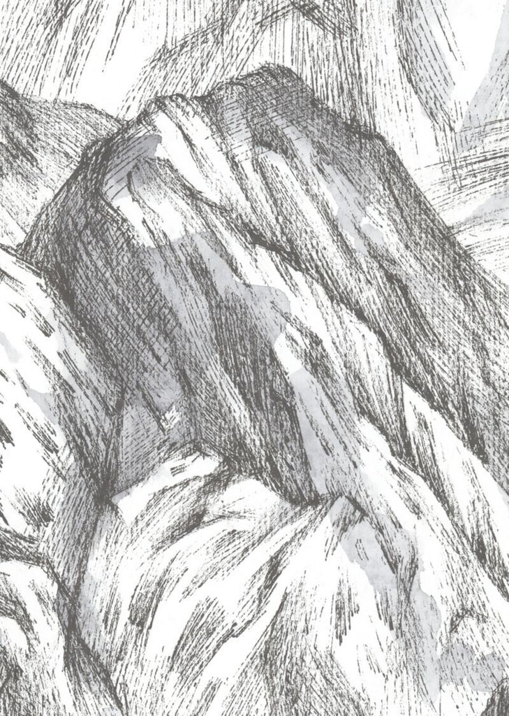 Exclusively at Designer Wallcoverings and Fabrics