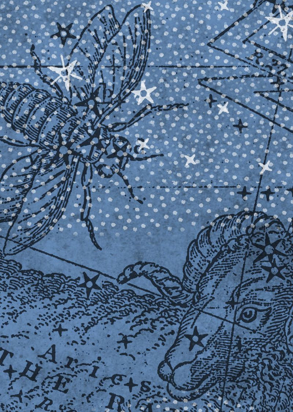 Star Map | Rebel Walls