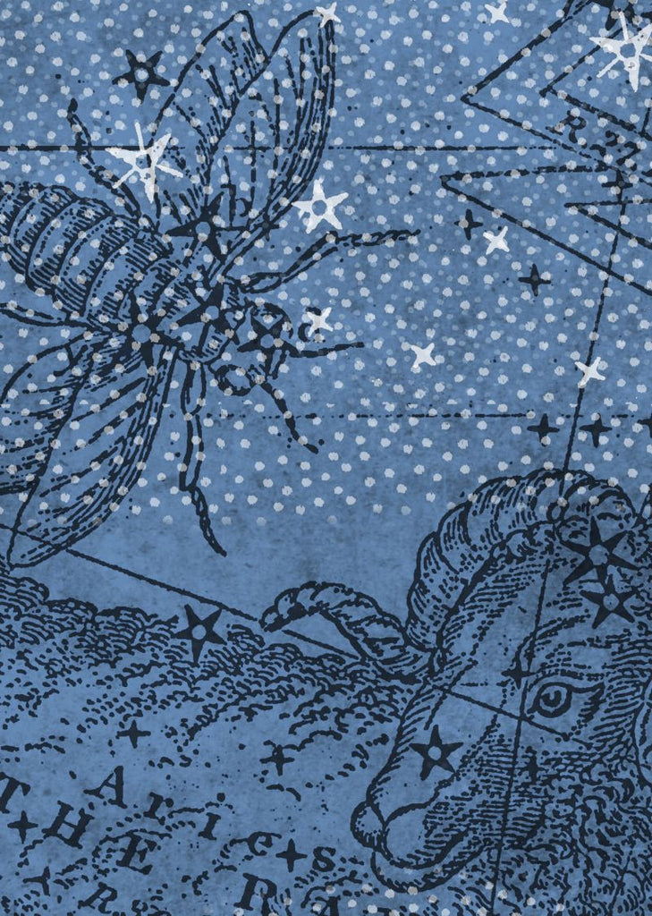 Exclusively at Designer Wallcoverings and Fabrics