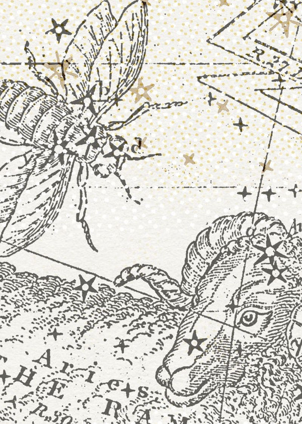 Star Map, White | Rebel Walls