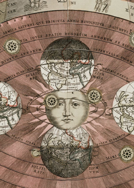 Exclusively at Designer Wallcoverings and Fabrics