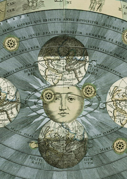 Exclusively at Designer Wallcoverings and Fabrics