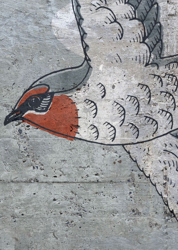 Concrete Art, Swallow | Rebel Walls